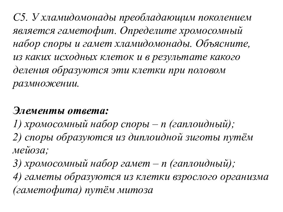 В результате какого деления образуются. Хромосомный набор хламидомонады. Определите хромосомный набор споры и гамет хламидомонады. Набор хромосом у споры хламидомонады. Хламидомонады преобладающим поколением является гаметофит..