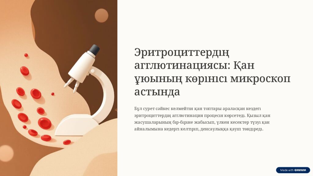 Қан топтары және резус-фактор: Қауіпсіз қан құю және резус-конфликт Бұл