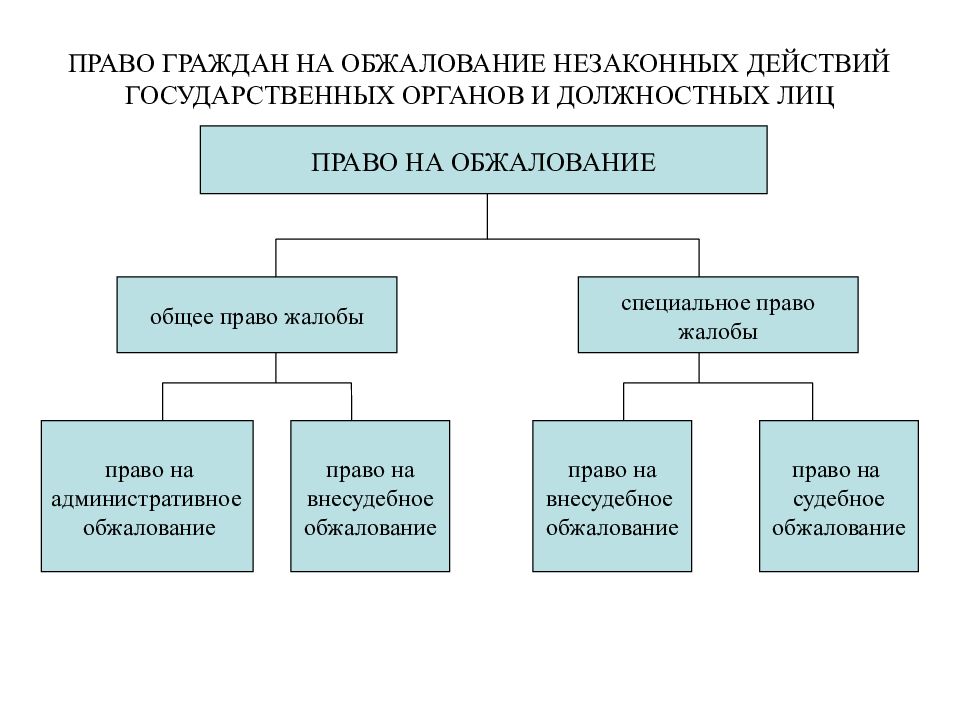 Рассмотри рисунки что означает право граждан на защиту среды в которой они живут приведи