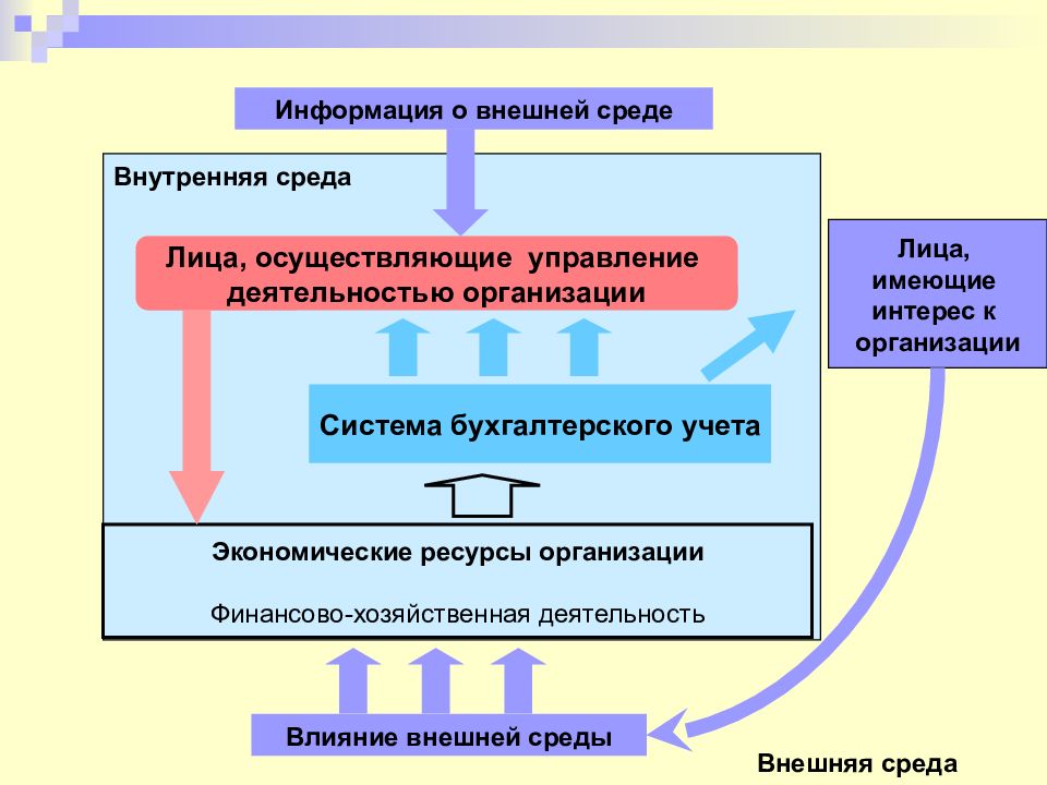 Основы бухгалтерского учета. Организация как среда управления имеет. Внутренняя среда бухгалтерского учета организации. Бухгалтерия внутренняя среда организации. Учет внешней и внутренней среды.