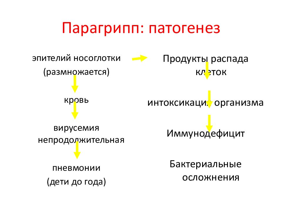 Грипп и парагрипп презентация