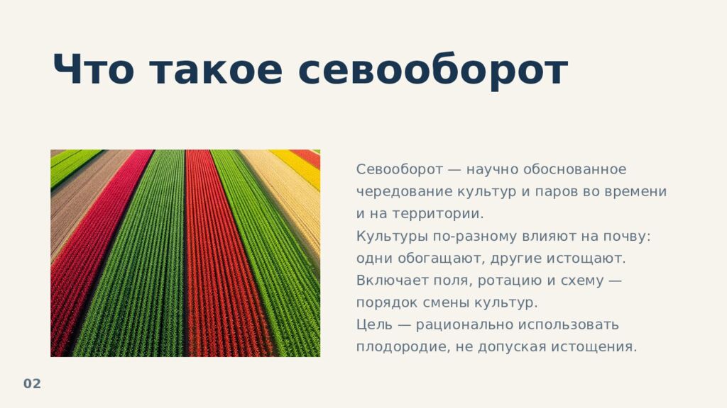 Севообороты: принципы и польза