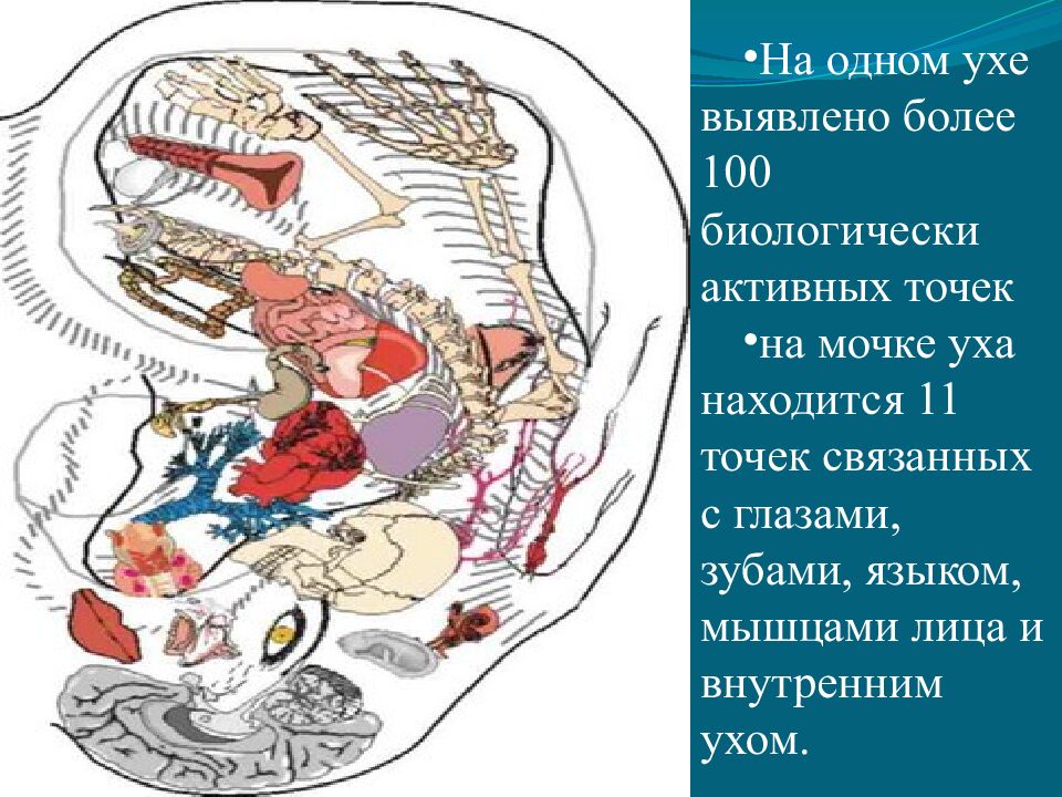 Проверка домашнего задания: I.Тест «Зрительный анализатор» (определить