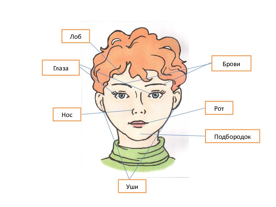 Head текст или изображение