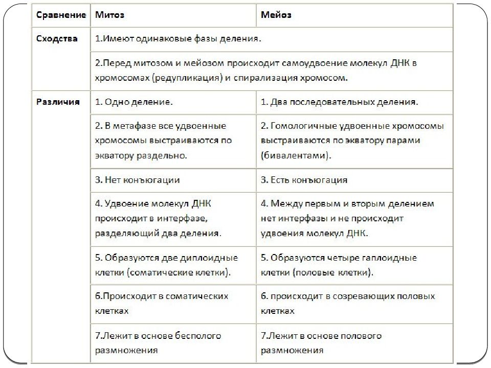 Отличие митоза от мейоза презентация