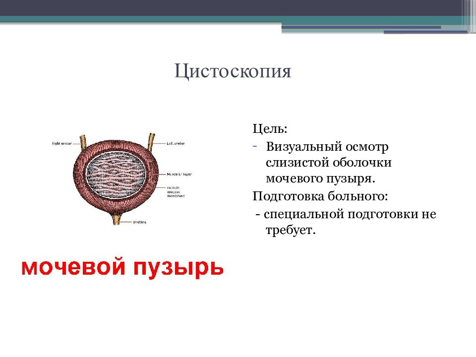 Осмотр мочевого пузыря на кресле