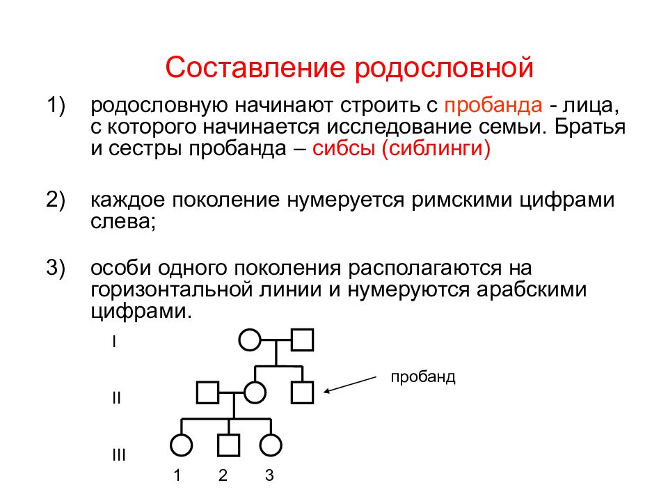 Родословная презентация 10 класс