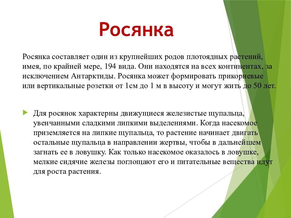 Росянка