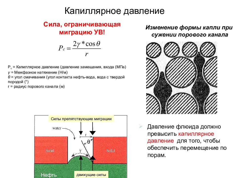 Геохимия нефти