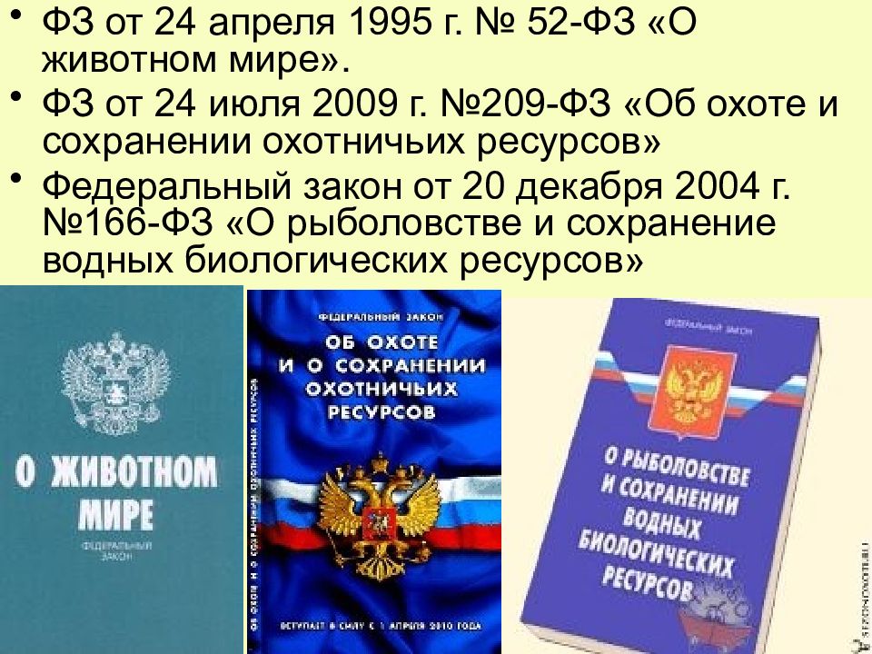 Проект закона о животных в россии