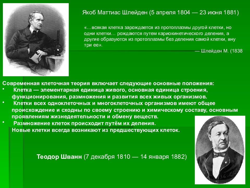 Биология индивидуального развития презентация