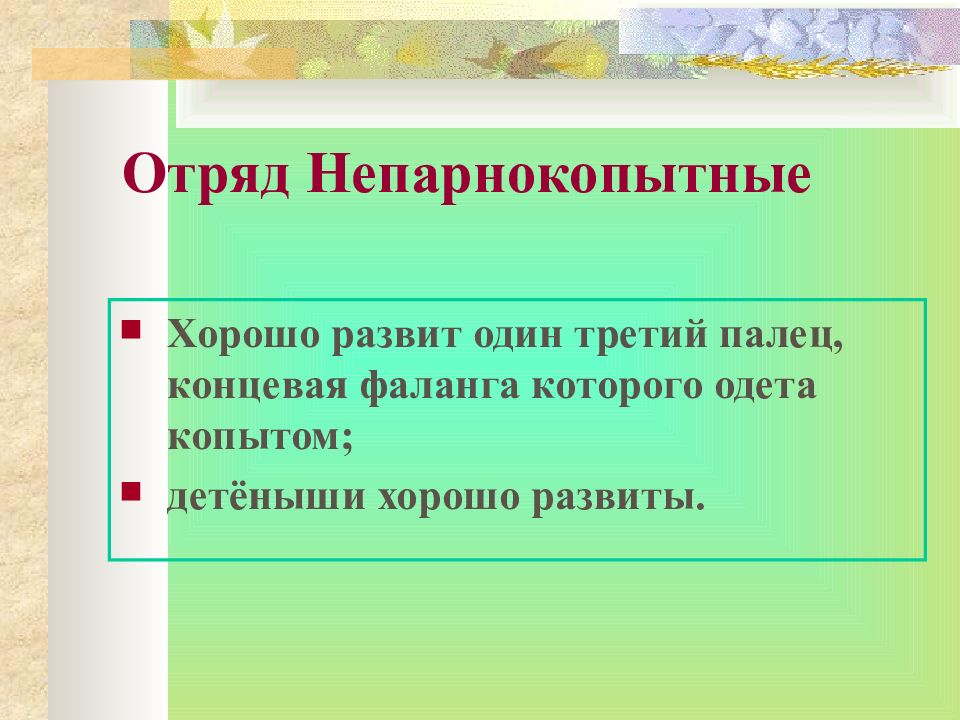 У непарнокопытных хорошо развит. Классификация непарнокопытных. Отряд непарнокопытные. Классификация отряда непарнокопытные. Непарнокопытные систематика.