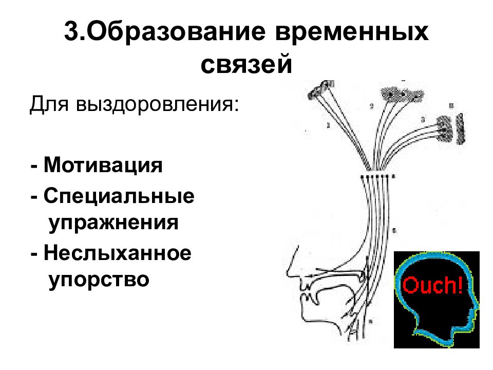 Временно образование. Основы нейрофизиологии и ВНД. Нерв нейрофизиология. Нейрофизиология мотивации. Материальные основы нейрофизиологии.