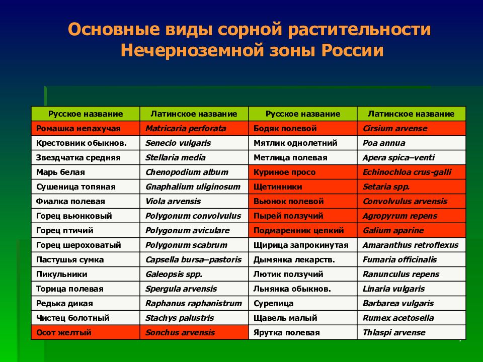 Область нечерноземья. Регионы центрального Нечерноземья.