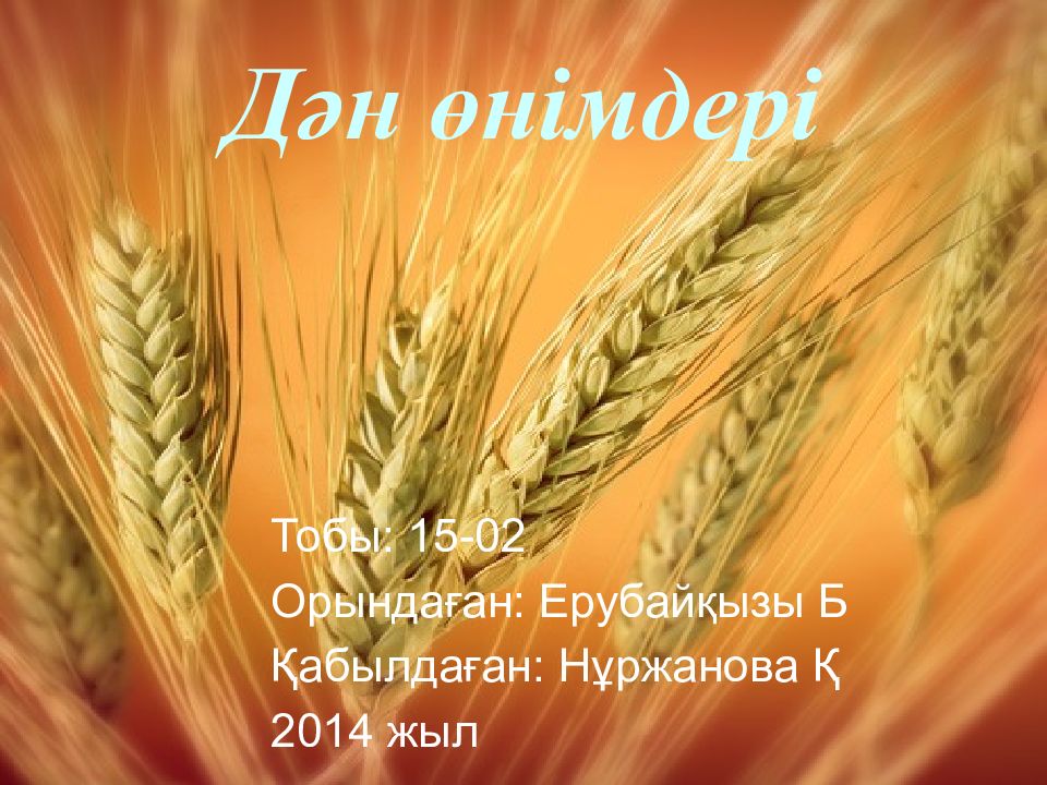 Дән өнімдері