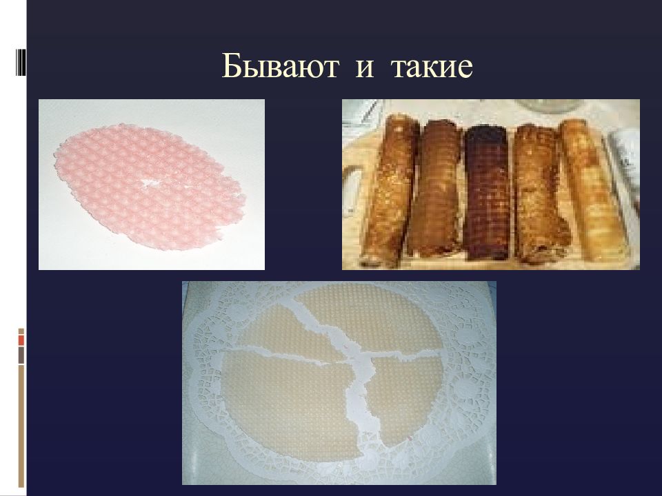 Презентация 1 курс