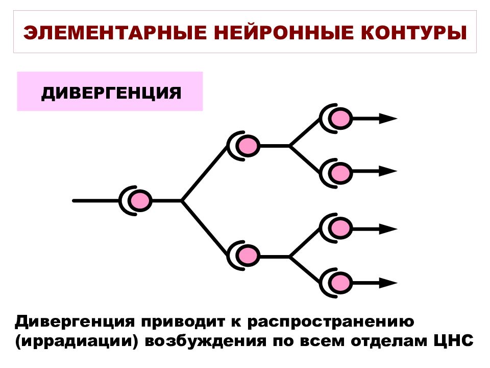 Дивергенция и конвергенция картинки