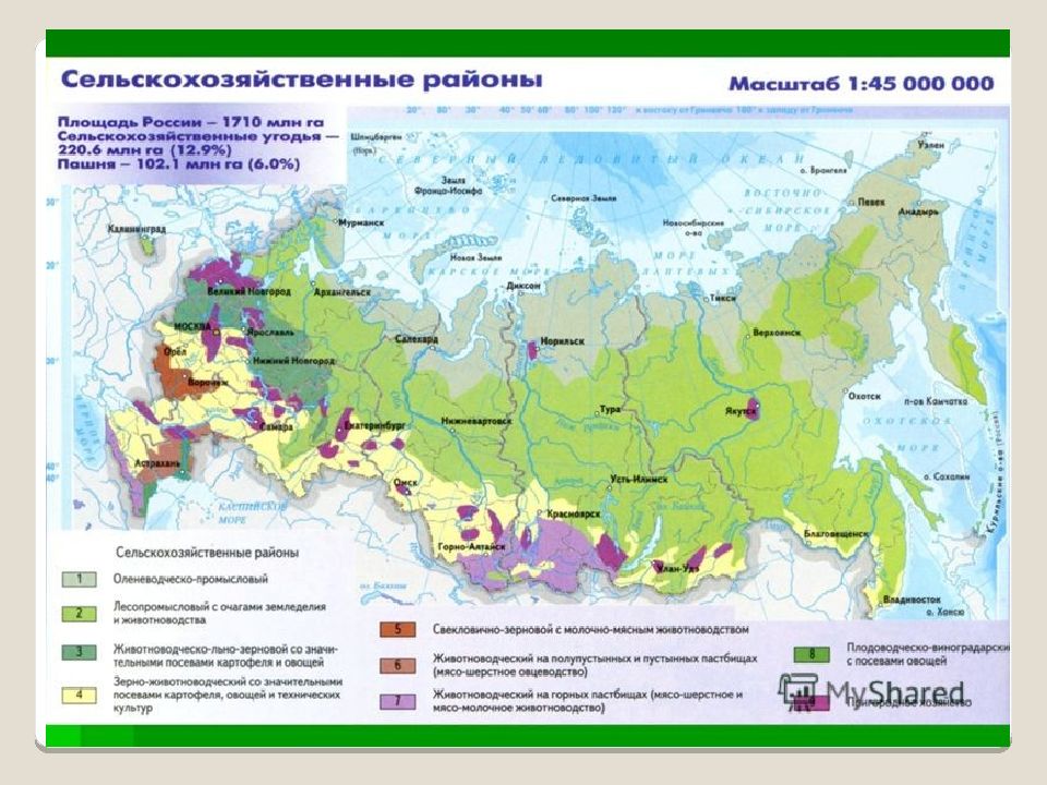 Изменение границ россии на разных исторических этапах презентация