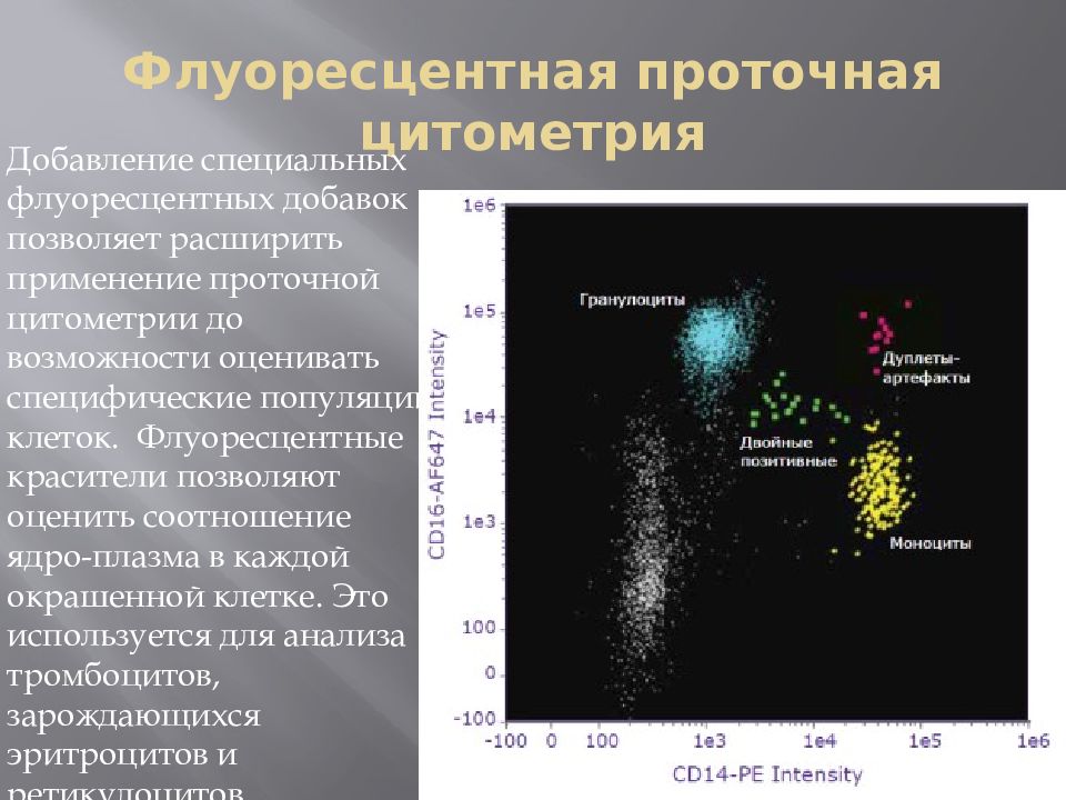 Схема подсчета лимфоцитов разных популяций с помощью проточного цитофлюориметра