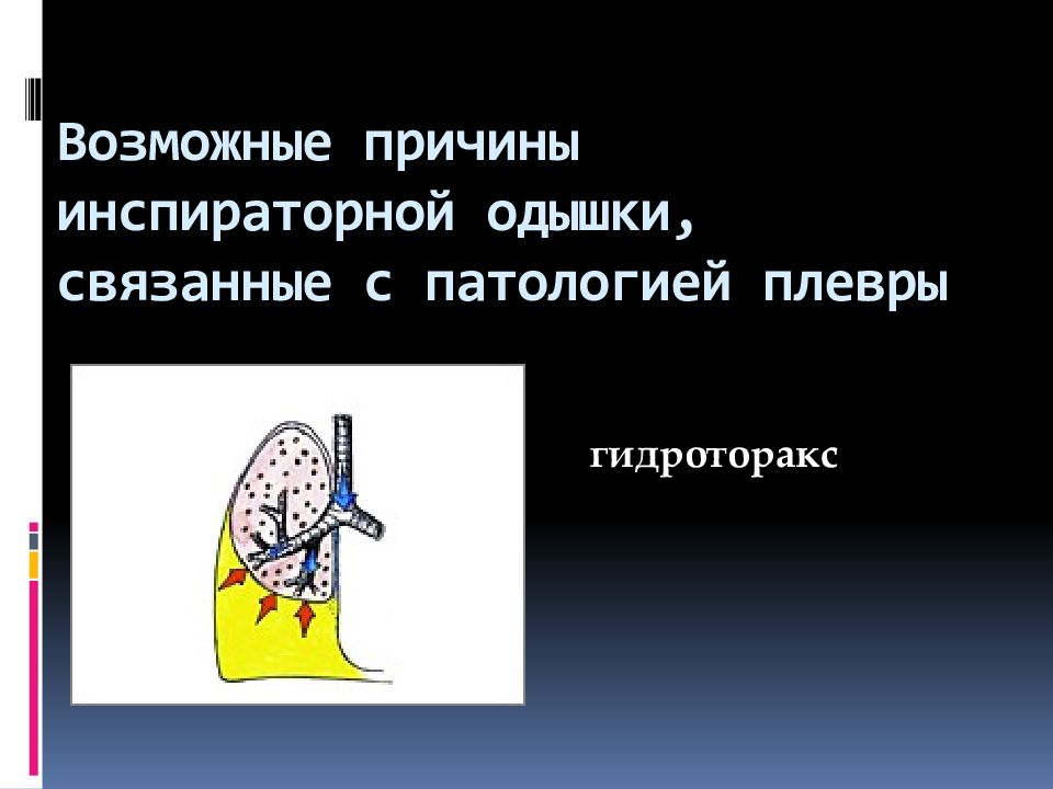 Обследование больных с заболеваниями органов дыхания презентация