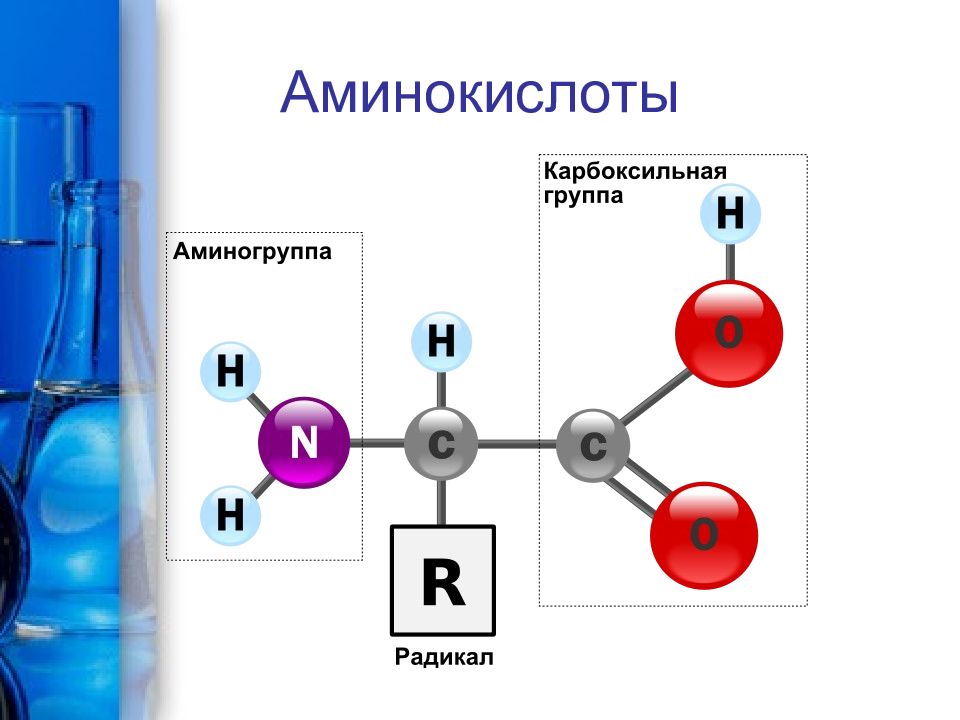 Презентация на тему аминокислоты