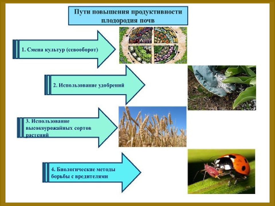 2 почва плодородие. Повышение плодородия почвы. Пути повышения плодородия почв. Способы улучшения плодородия почвы. Методы повышения плодородия почвы.