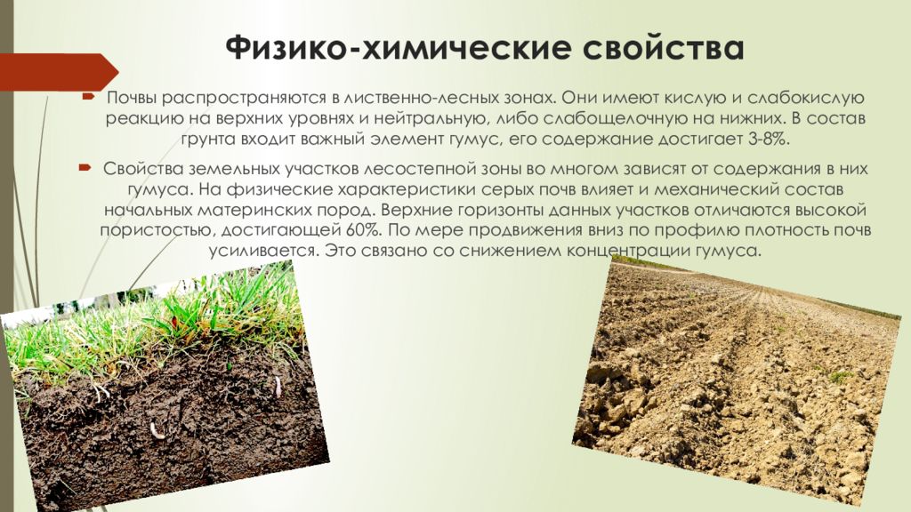 Плодородие это свойство почвы которое. Свойства почвы. Физико-химические свойства почвы. Химические характеристики почвы. Серые Лесные почвы.