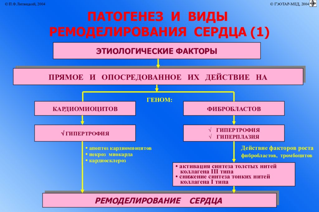 Сердечная недостаточность патофизиология презентация