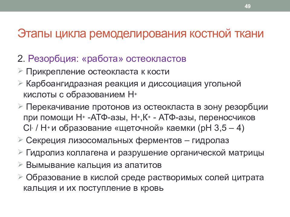 Регуляция костной ткани. Ремоделирование костной ткани. Этапы резорбции костной ткани. Стадии ремоделирования костной ткани. Ремоделирование костной ткани этапы.