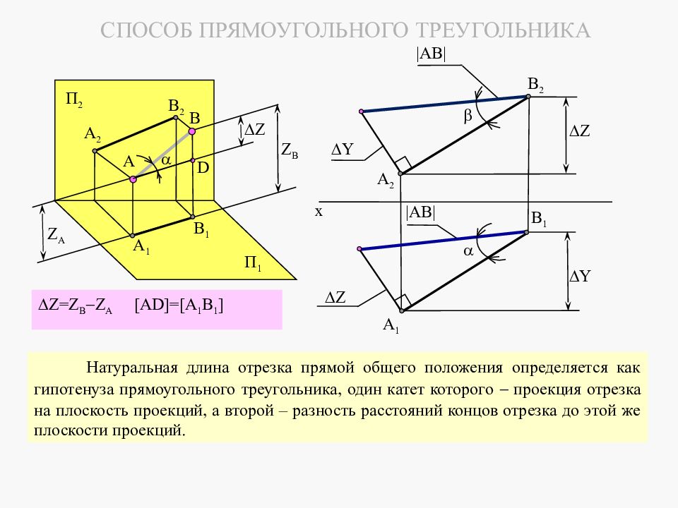 Натуральная длина. Натуральная величина отрезка Начертательная геометрия. Прямая общего положения Начертательная геометрия. Натуральная величина прямой общего положения. Проекции отрезка прямой общего положения.