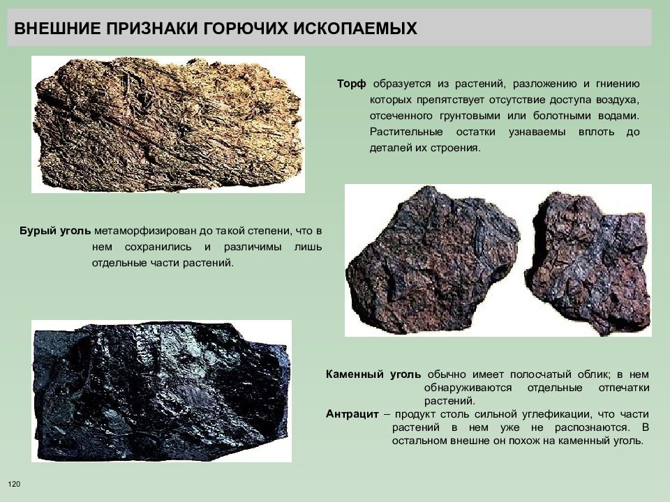 Институт горючих ископаемых. Признаки каменного угля. Внешние признаки угля. Горючие полезные ископаемые. Внешние признаки угля как горной породы.