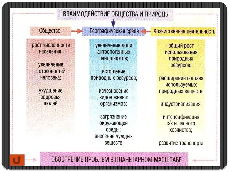 Общество подготовка