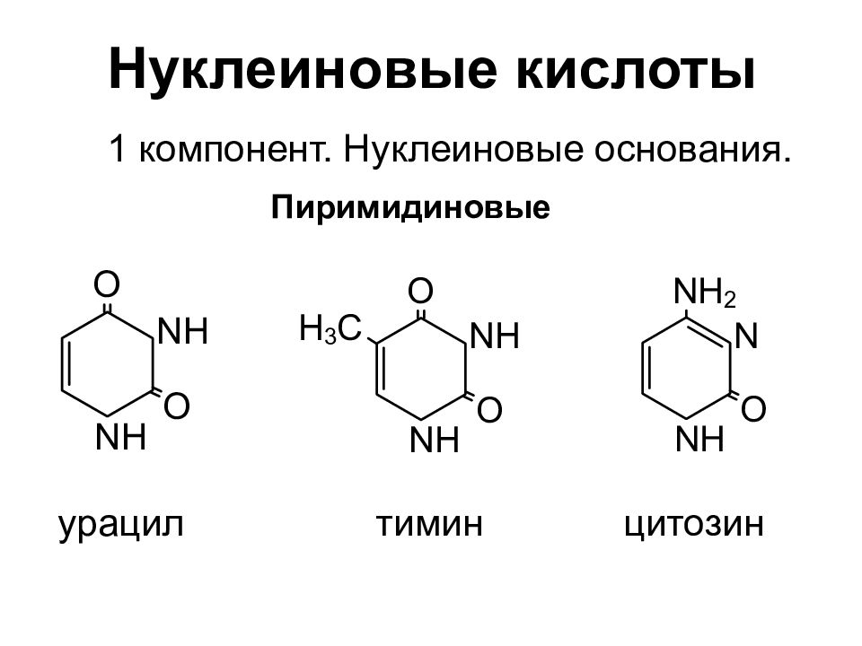 Состав пурины