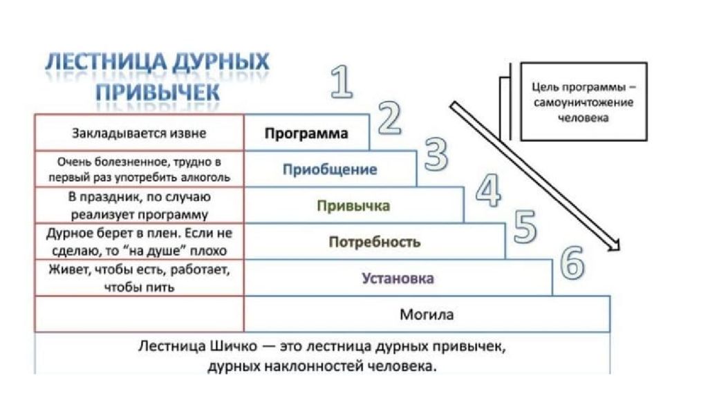 Дневники шичко