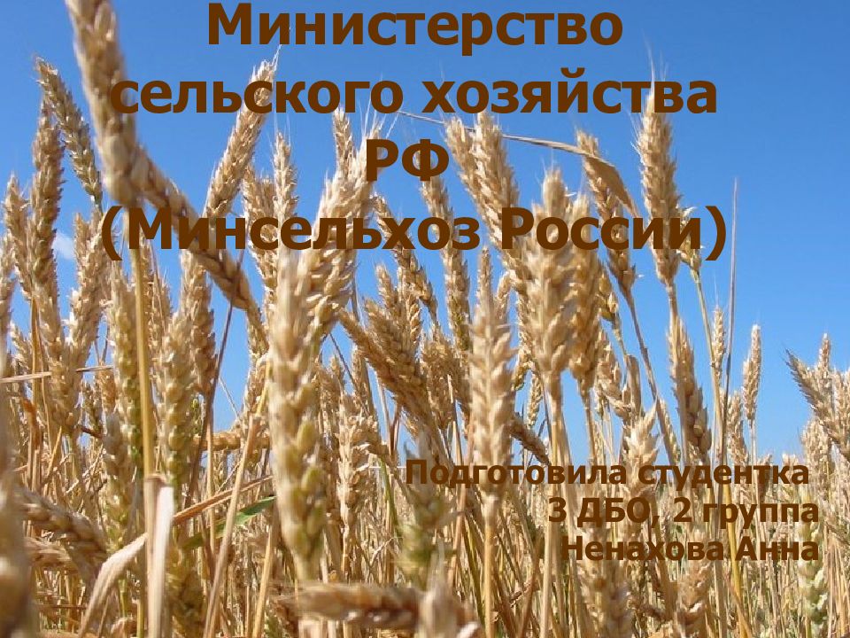 Министерство сельского хозяйства РФ (Минсельхоз России)