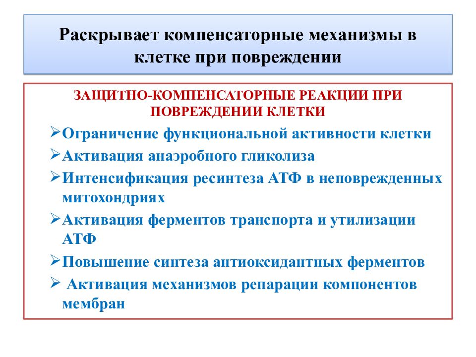 Компенсаторные механизмы. Клеточные адаптационно-компенсаторные механизмы. Компенсаторные механизмы в клетке при повреждении. Защитно-компенсаторные процессы в клетке при повреждении. Защитно компенсаторные реакции.