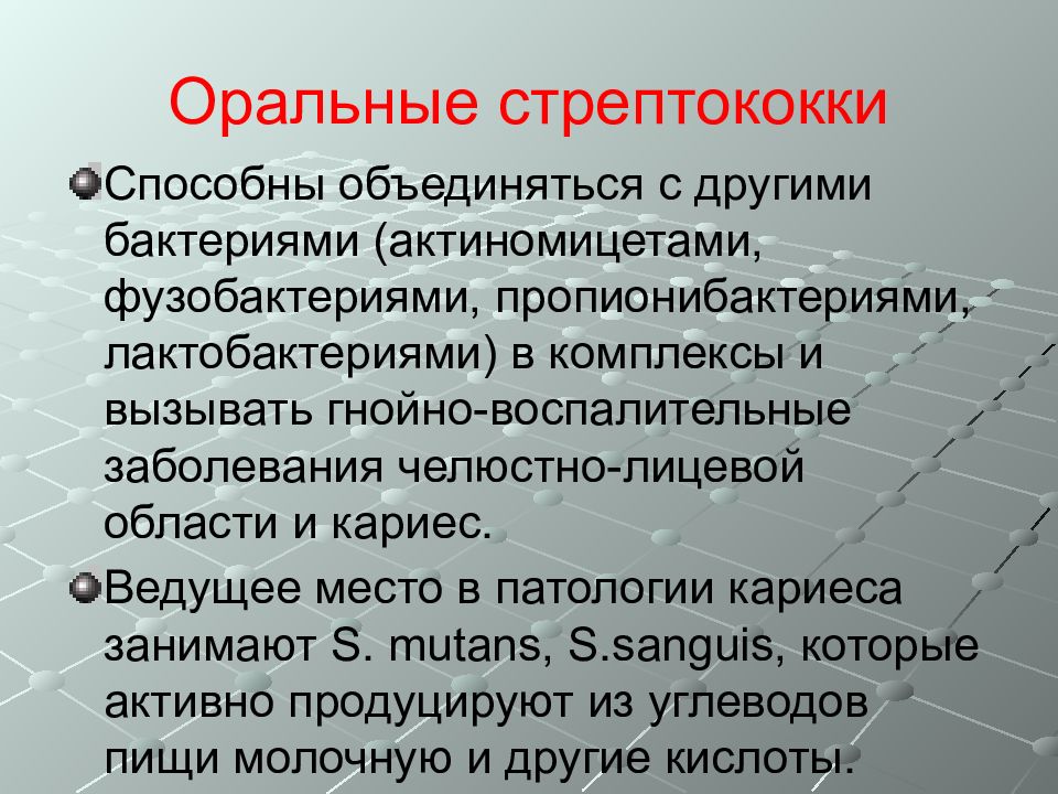 стрептококк саливариус. стрептококки культивируются на. оральные стрептококки. оральные стрептококки. бактерии стрептококки.