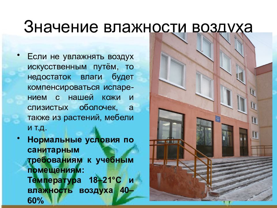 Значение влажности воздуха. Влажность воздуха значение влажности. Значение влажности для растений. Значение влажности воздуха в жизни человека.