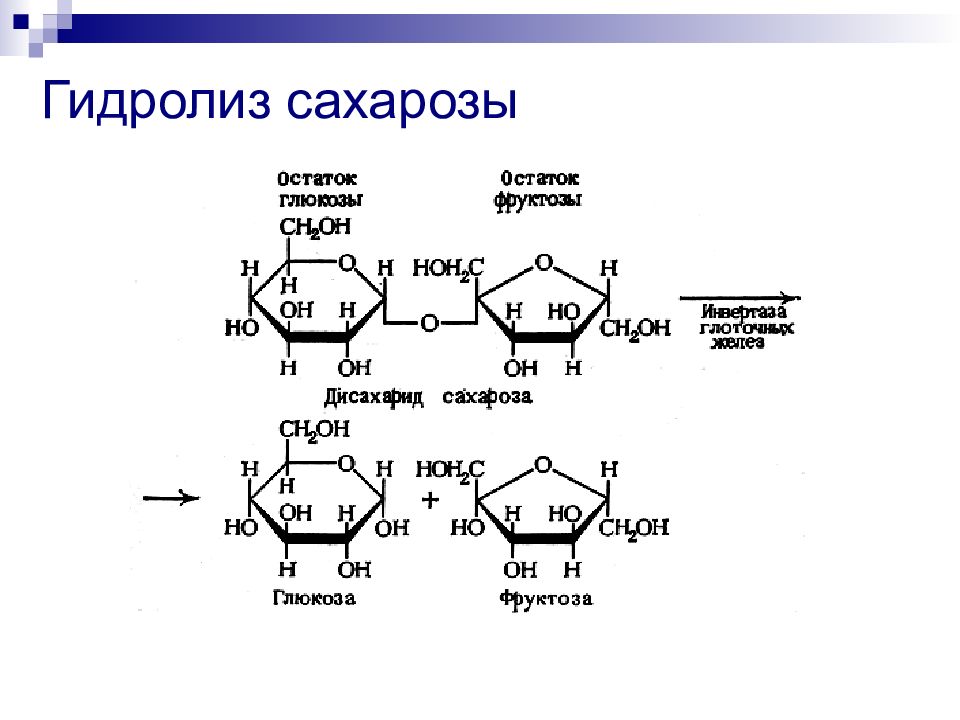 Глюкоза и фруктоза образуются при гидролизе