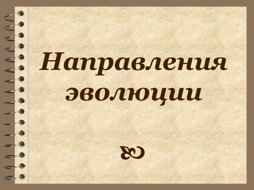 Направления эволюции
