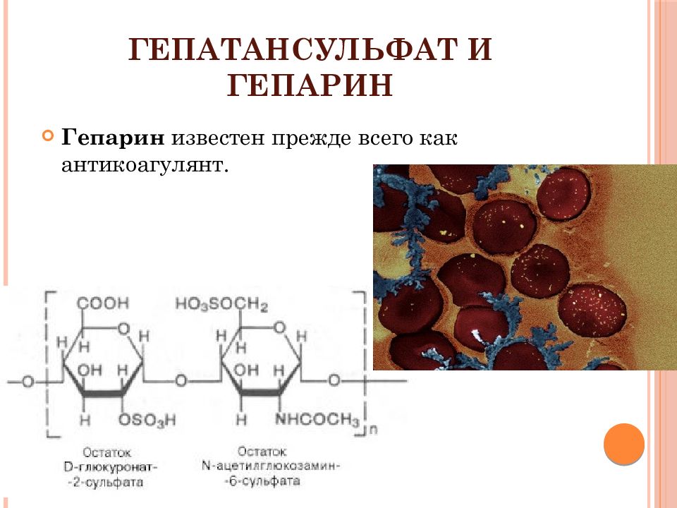 Гепарин биохимия. Гепарин биологическая роль. Реакция на гепарин. Гепарин по схеме.