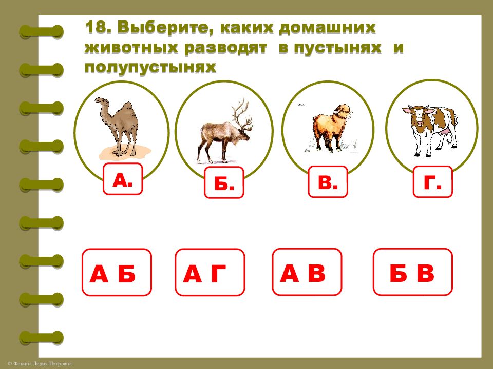 Каких животных разводили