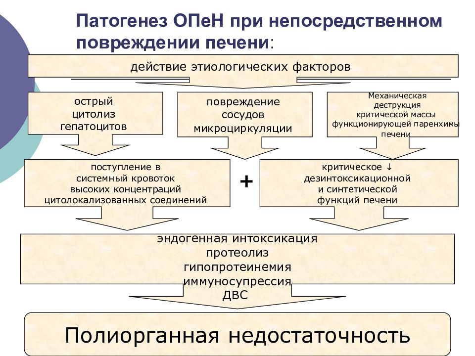 Патогенез острой. Факторы, вызывающие повреждение печени:. Острая печеночная недостаточность патогенез. Эндогенные факторы повреждения печени. Патогенез повреждения гепатоцитов.