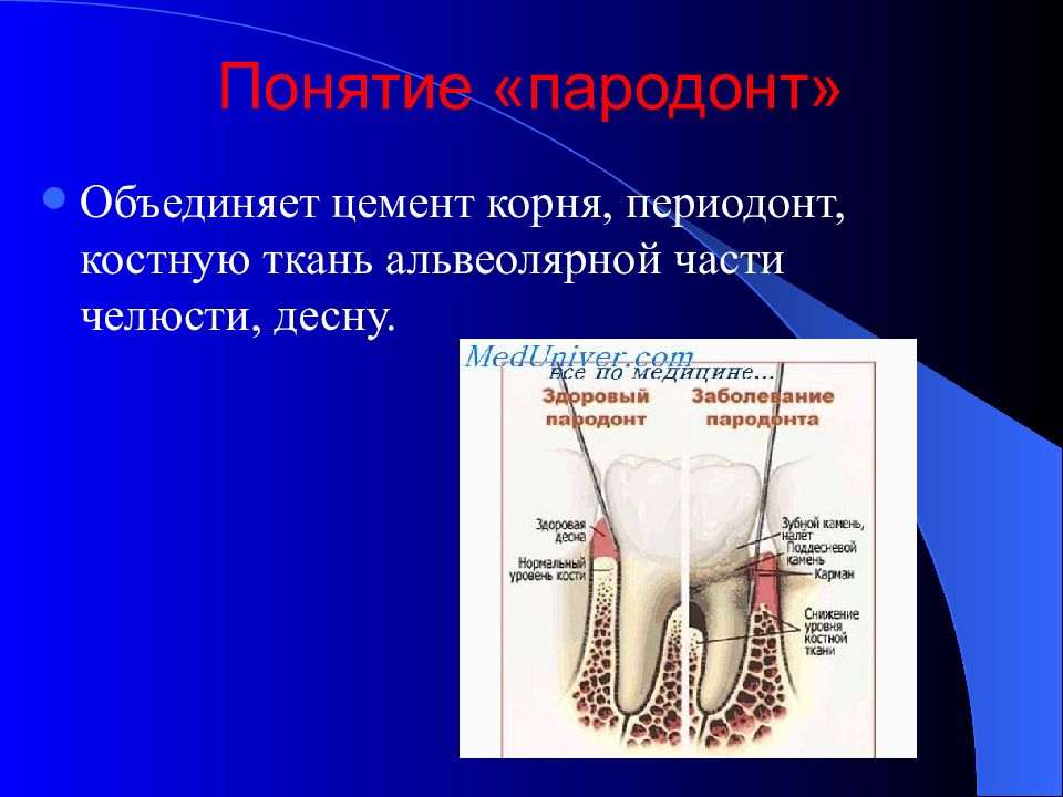 Индексная оценка состояния тканей пародонта презентация