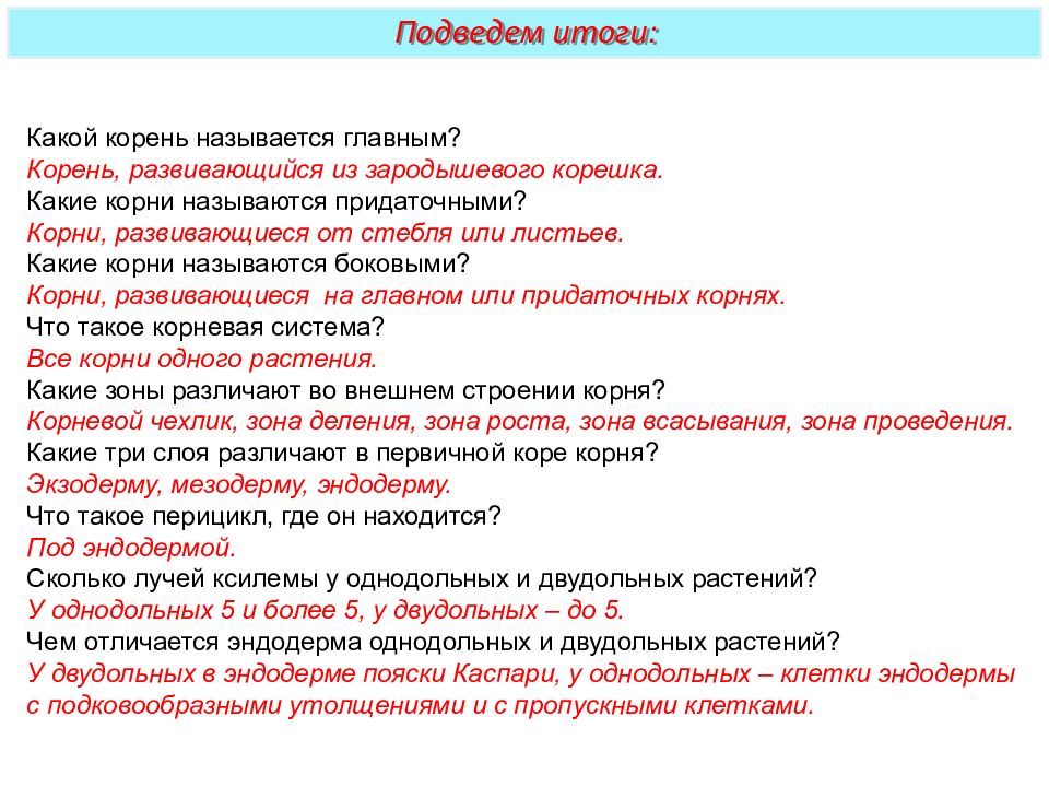 Развивающийся какой корень. Какой корень называется главным. Какие корни называют придаточными. Задача какой корень. Перицикл корня где находится.