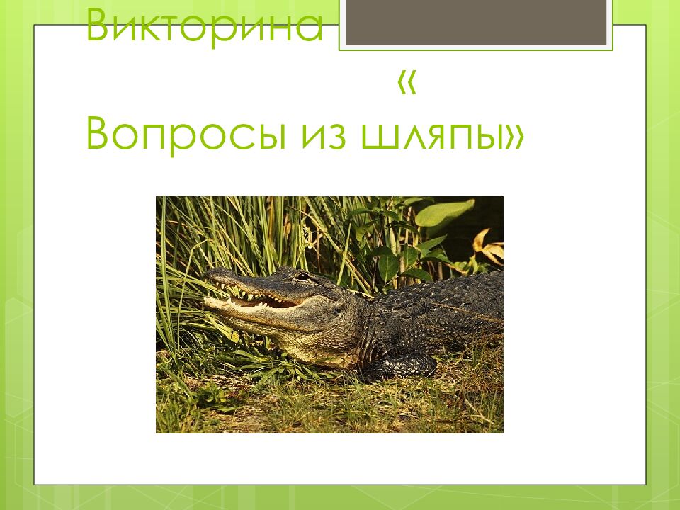 Викторина « Вопросы из шляпы»