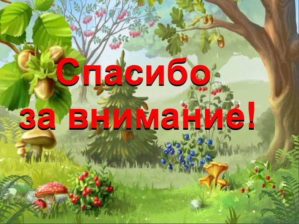 Деревья и кустарники 2 младшая группа. Царство деревьев. Иллюстрации для недели царство деревьев. Слайды фото деревьев 2 младшая группа. Картинка с надписью в царстве деревьев.