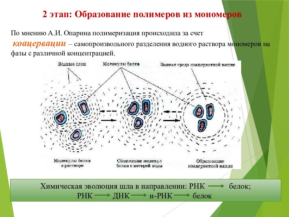 Теория биопоэза. Биопоэз кратко. Теория биопоэза Бернала. Гипотеза биопоэза этапы.