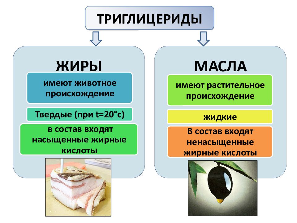 Презентация твердые жиры