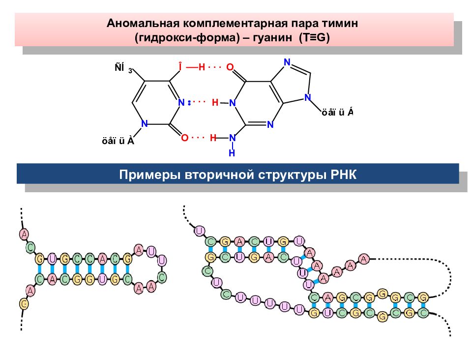 Липиды нуклеотиды. Вторичная структура нуклеиновых кислот. Метод гибридизации нуклеиновых кислот. Комплементарные нуклеотиды РНК. Нуклеозид Тимина.